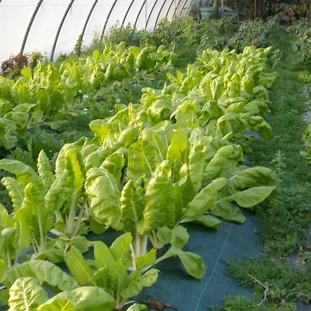 Country house Aristondo