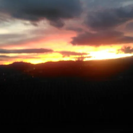 Aristondo San Sebastian