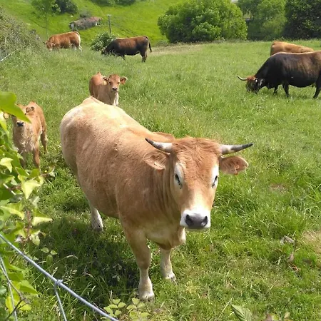 Country house Aristondo San Sebastian