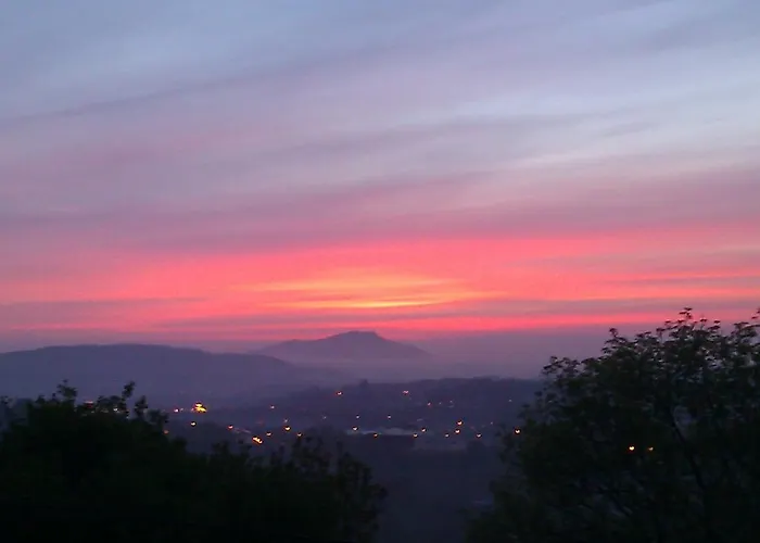 Aristondo Lantställe *