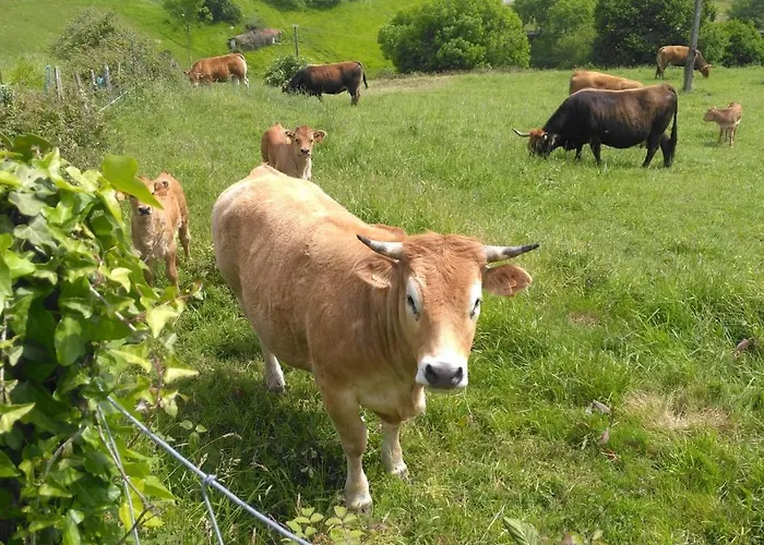 Landsted Aristondo San Sebastián