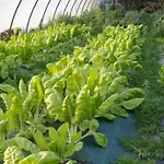 منزل ريفي Aristondo