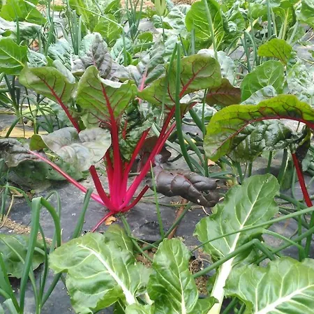 Aristondo * San Sebastián